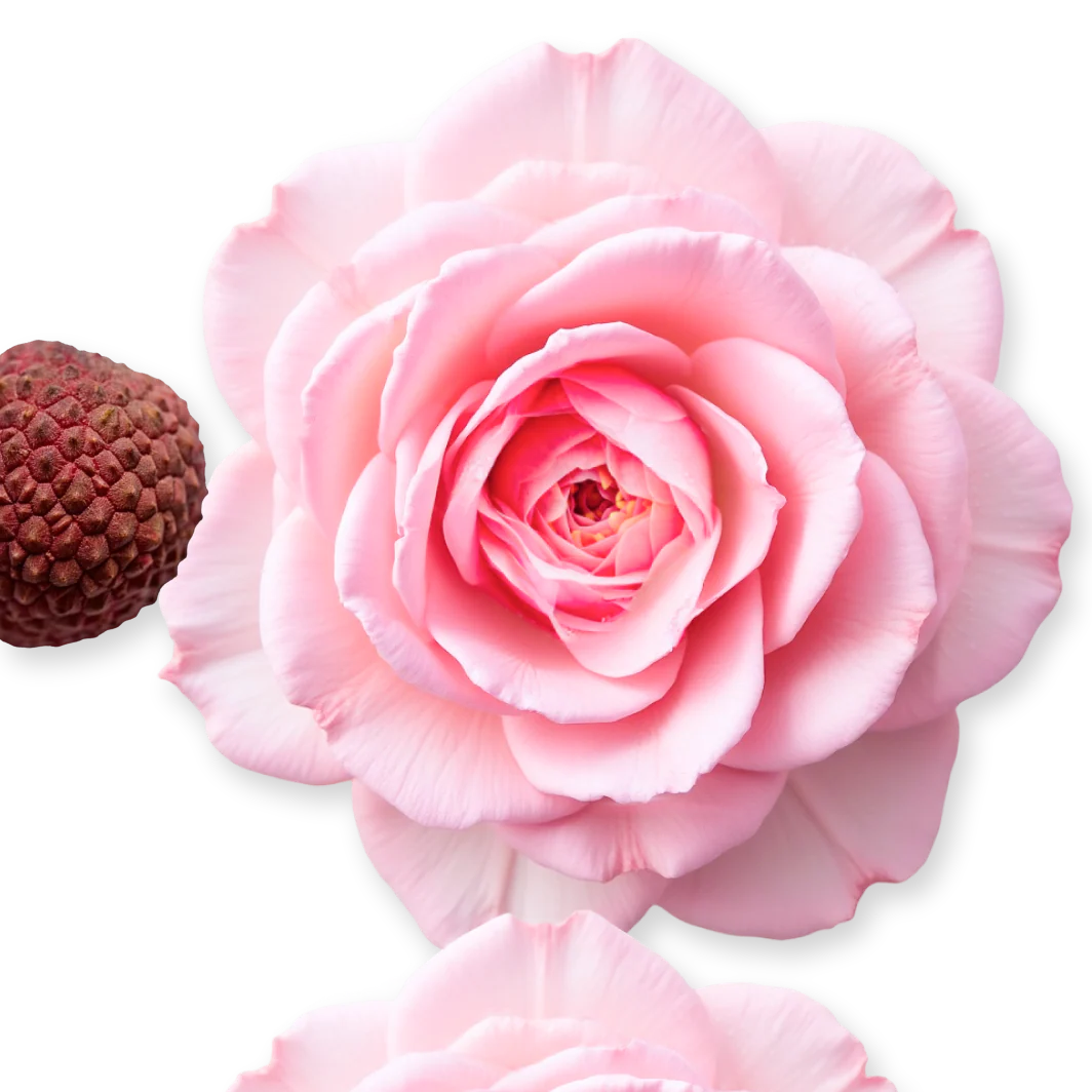 DELINA HAIR PERFUME - Image 3