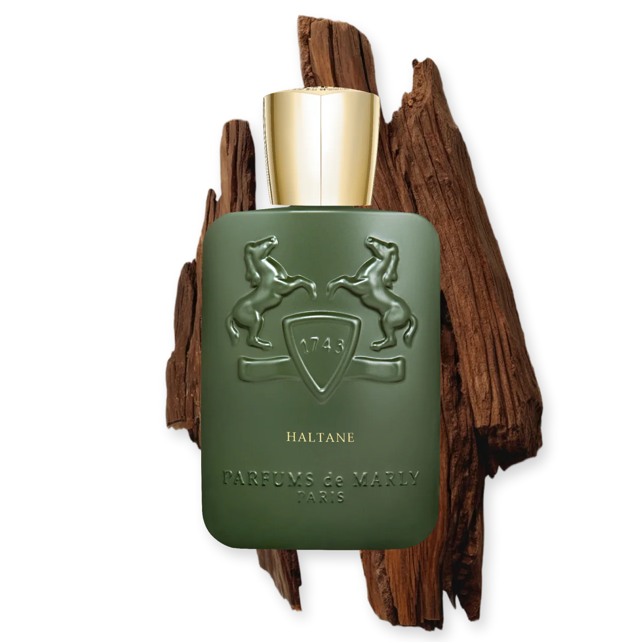HALTANE - Image 5