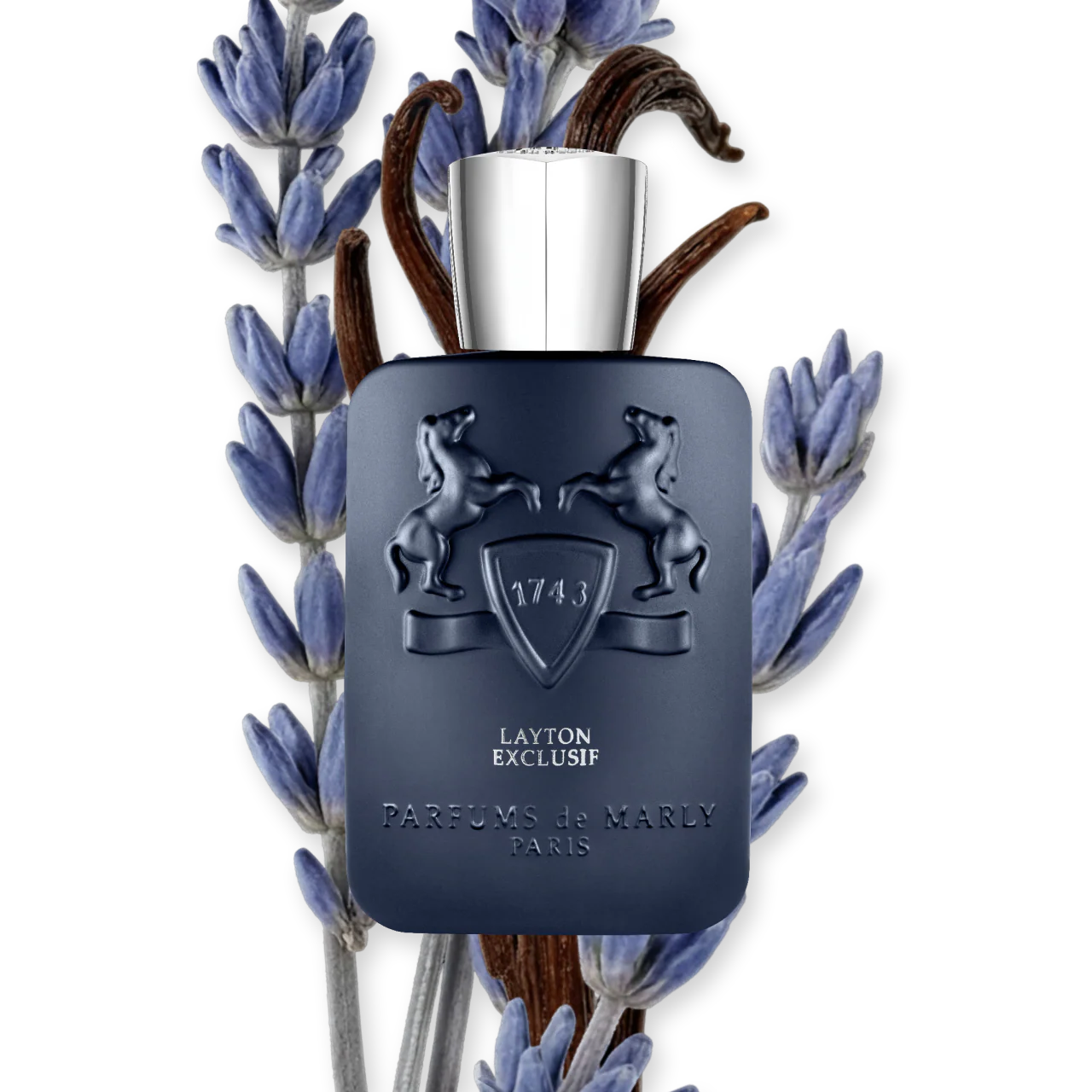 LAYTON EXCLUSIF - Image 5