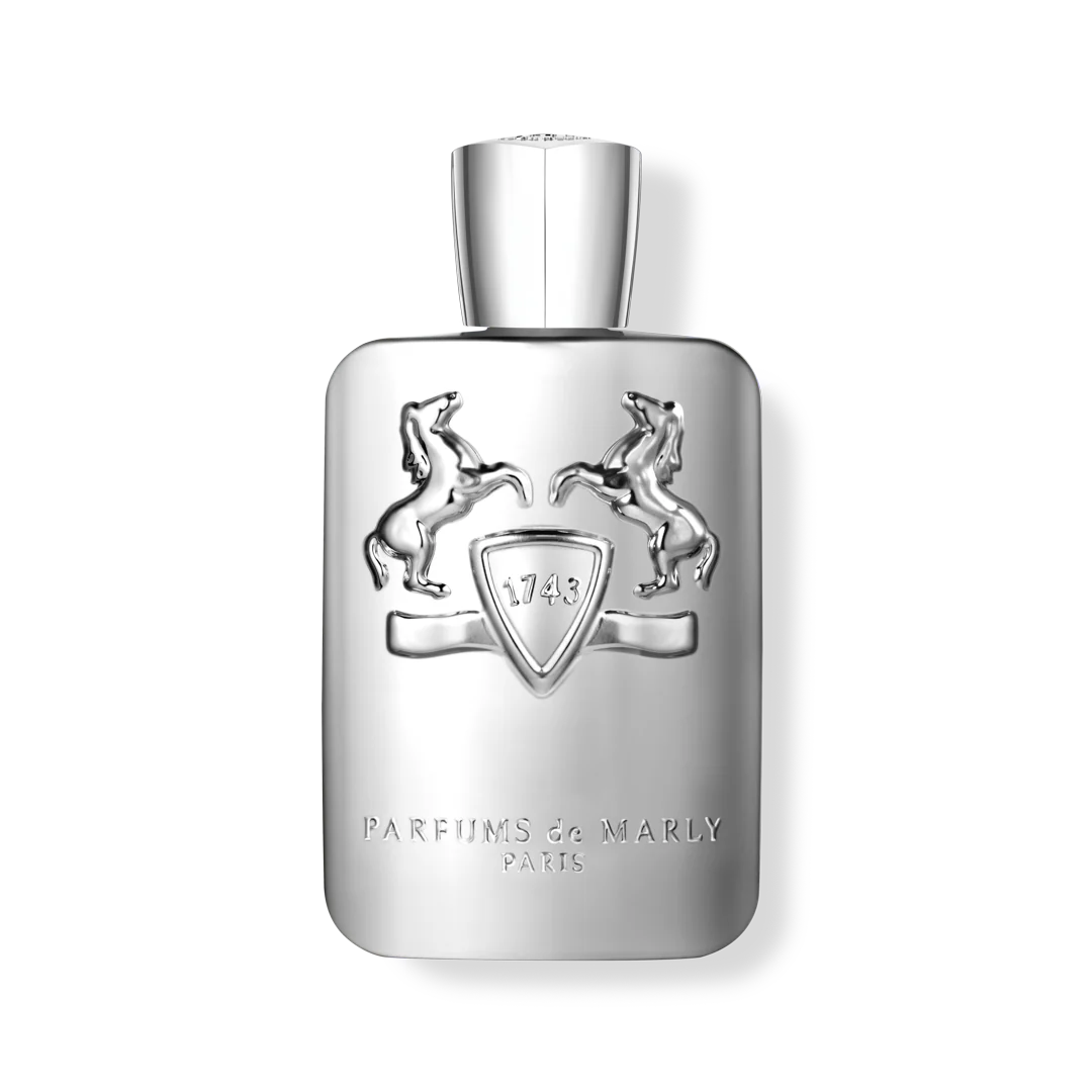 PEGASUS - Image 4
