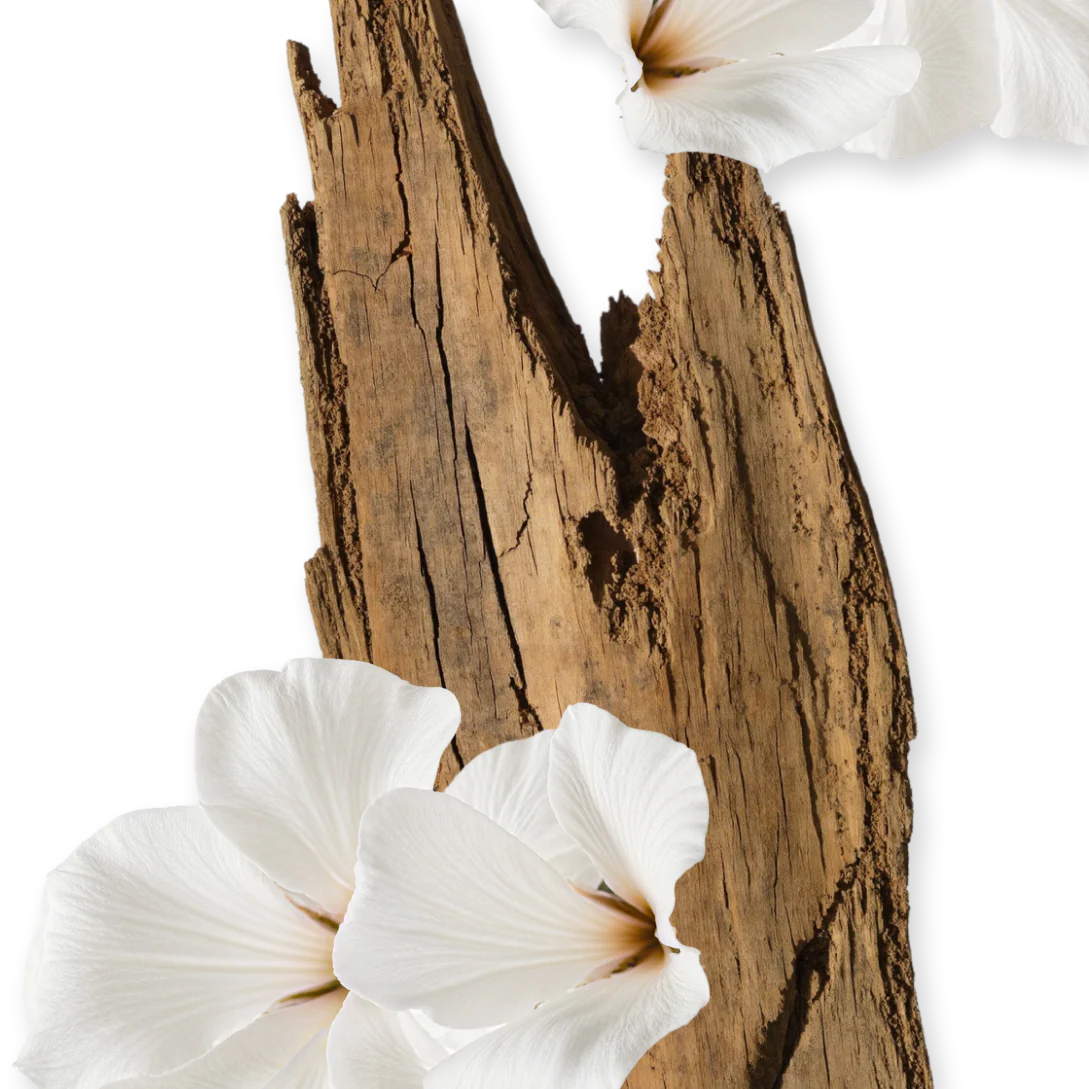 VALAYA HAIR PERFUME - Image 3